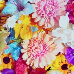 Meet your Posher, Sally